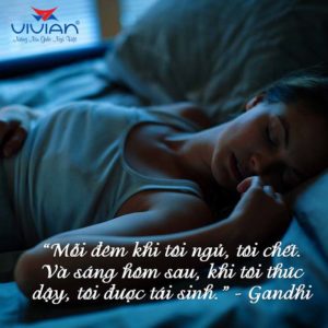 Những điều khiến bạn ngủ ngon hơn - meo vivian 08