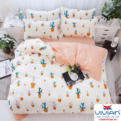 Bán bộ chăn drap có mền cotton 1m6x2m cao cấp vivian 001