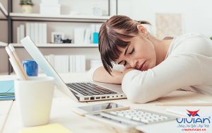 Nên mua đệm bông ép của hãng nào tốt nhất