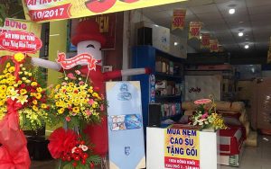 Cửa hàng đại lý nệm vivian thủ dầu một chất lượng cao