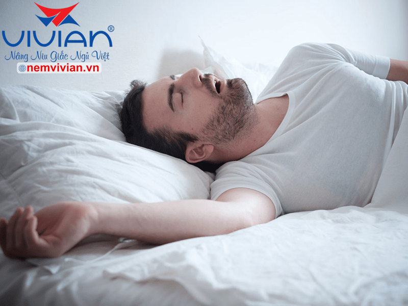 Top 4 nệm bông ép một người nằm chính hãng chất lượng cao